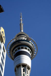 Sky Tower from Hotel